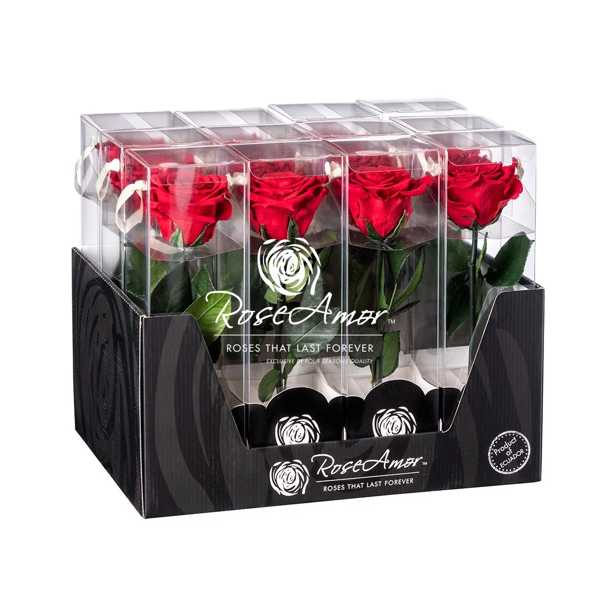 Αποχυμωμένα τριαντάφυλλα Rose Amor 30cm Stem Red