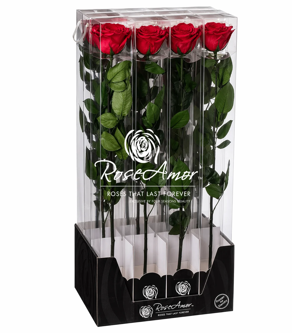Αποχυμωμένα τριαντάφυλλα Rose Amor 60cm Stem Red