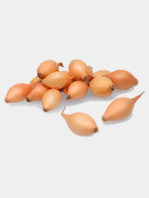 Κοκκάρι (Κρεμμύδι) Μακρύ Sturon 1Kg